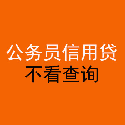 普定公务员信用贷款