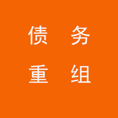 普定个人债务重组优化